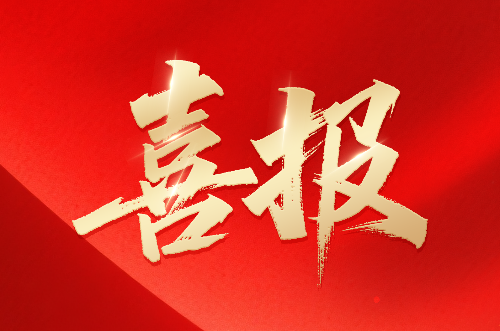 k8凯发在线｜喜报！公司荣获2024年拼搏奋进·衢州市长出格奖市当局质量奖