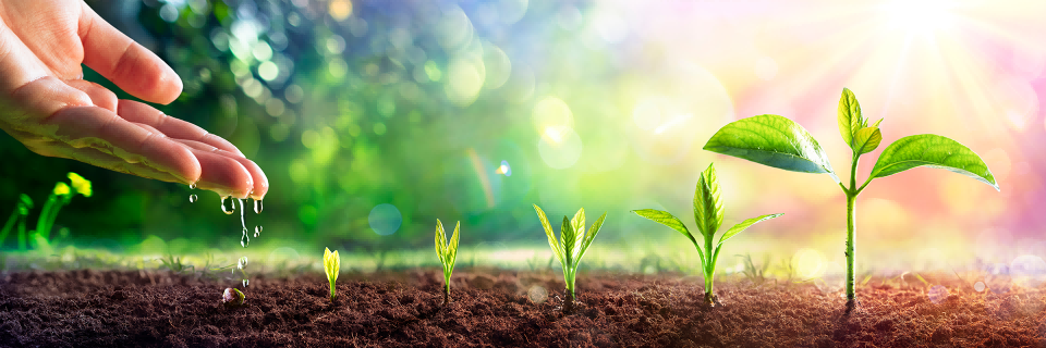 首页- k8凯发集团中国官方网站