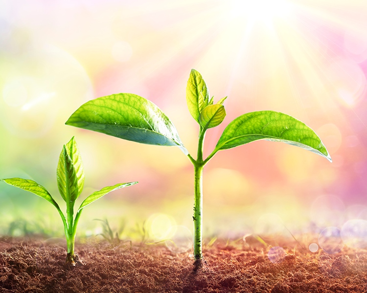 首页- k8凯发集团中国官方网站